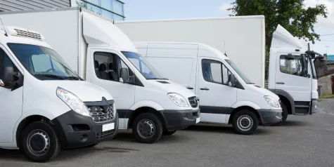Marko Brajovic AUTOPREVOZNIK, Transport