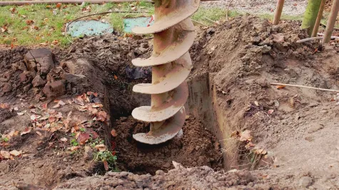 SZR PLAVŠIĆ TODE PLAVŠIĆ PREDUZETNIK, NOVI SAD, Šipovi