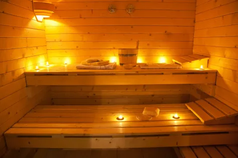 MIRJANA ŠARAC PR BAZENI & SPA AQUALUX, Saune