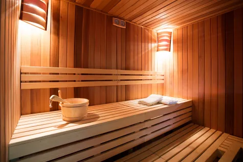 POOL AND SPA DOO, Saune