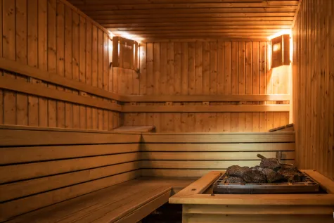 PROIZVODNJA SAUNA I OSTALE OPREME ZA SPA CENTRE WELLNESS LIFE BEOGRAD, Saune