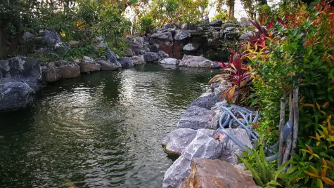 GH LANDSCAPING COMPANY DOO, Ribnjaci