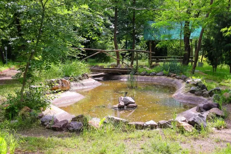 HIDROGRAĐEVINAR-ODRŽAVANJE, Ribnjaci
